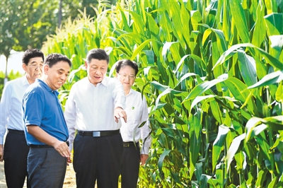 习近平在吉林考察时强调：坚持新发展理念深入实施东北振兴战略 加快推动新时代吉林全面振兴全方位振兴(图1)