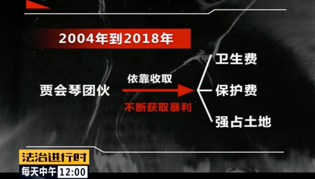 北京朝阳58岁“女村霸” 欺行霸市14年，获刑15年(图6)