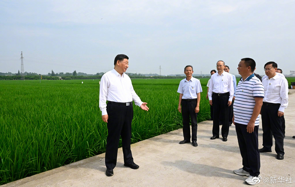 习近平在四川眉山市考察调研(图1)