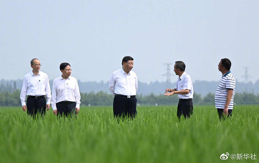 习近平在四川眉山市考察调研(图2)