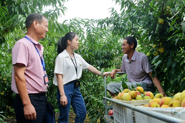 福建:持续推动乡镇纪委监督下沉 打通堵点破解难点(图1)